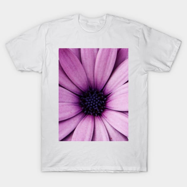 Large Flower T-Shirt by In Beauty We Trust